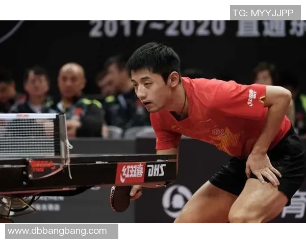 张继科与斯托亚诺夫的巅峰对决乒乓球赛场上的精彩瞬间与战术分析