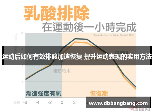 运动后如何有效排酸加速恢复 提升运动表现的实用方法