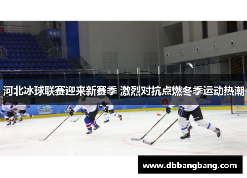 河北冰球联赛迎来新赛季 激烈对抗点燃冬季运动热潮